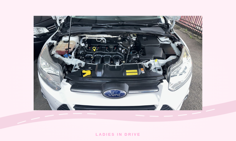 Ford Focus SE - foto 8
